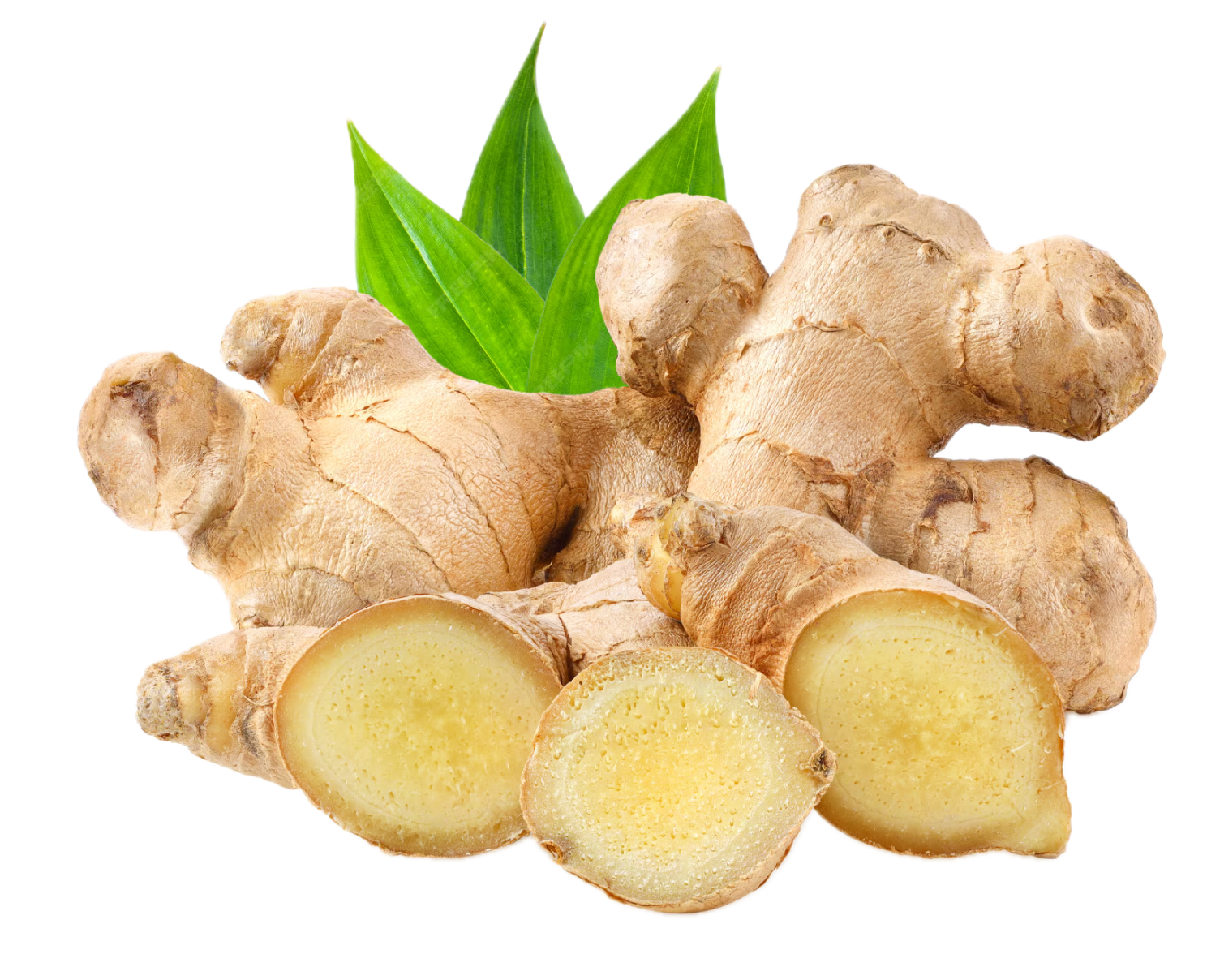 Ginger